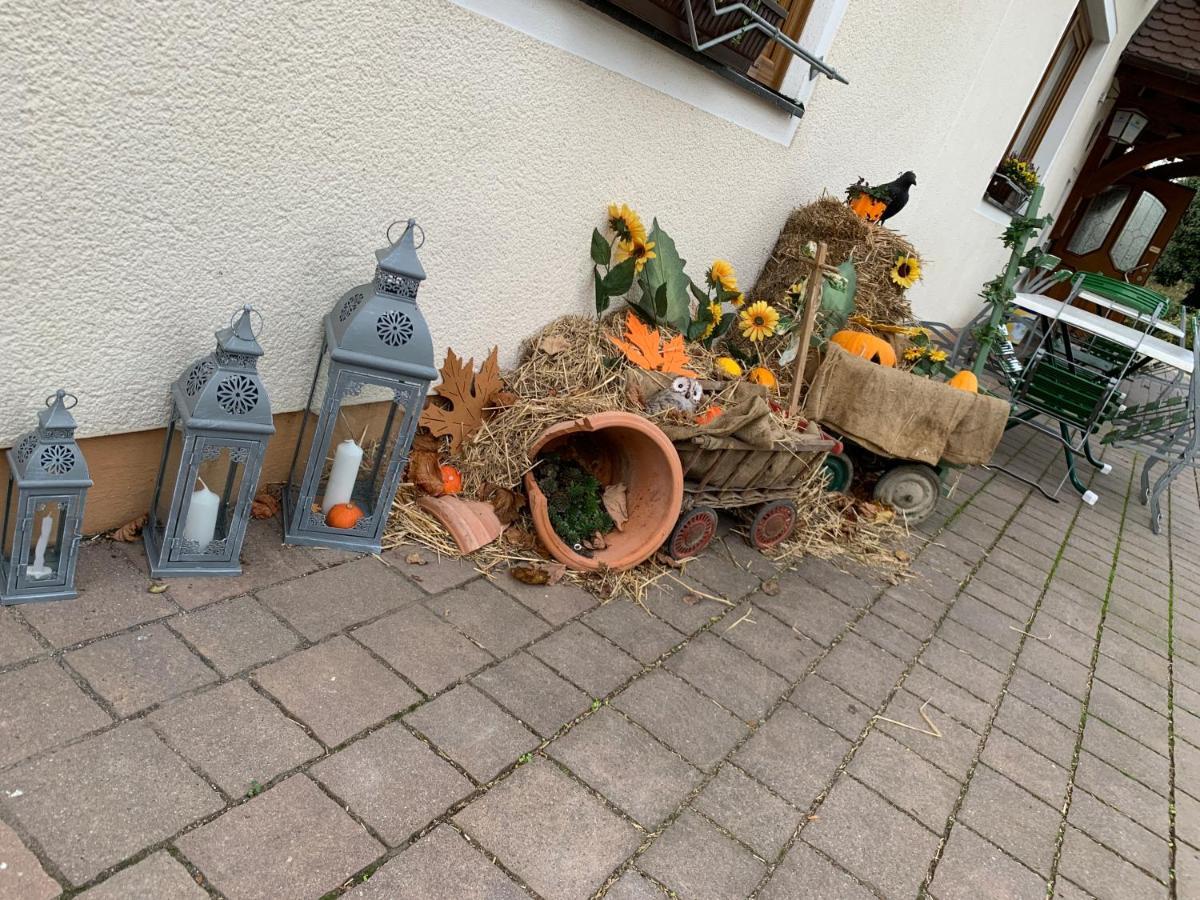 Hohe Tanne 호텔 Auerbach in der Oberpfalz 외부 사진